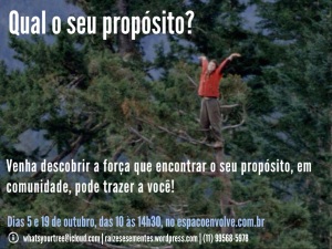 What's Your Tree no Espaço Envolve